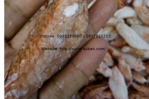 Thịt càng ghẹ loại A